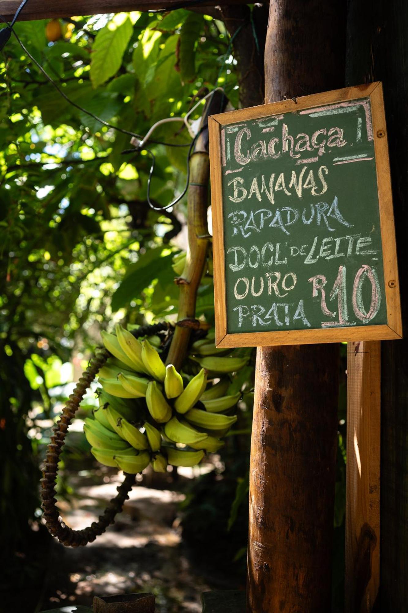 Bananas Hostel Itacare Exterior photo
